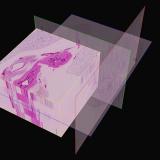 CIMTEC developed 3D digital pathology